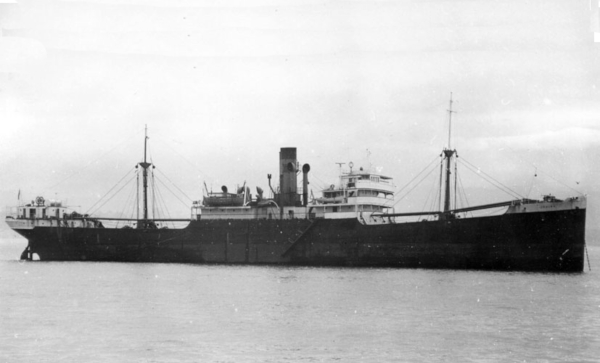 Josiña por T. Diedrich Josiña por T. Diedrich